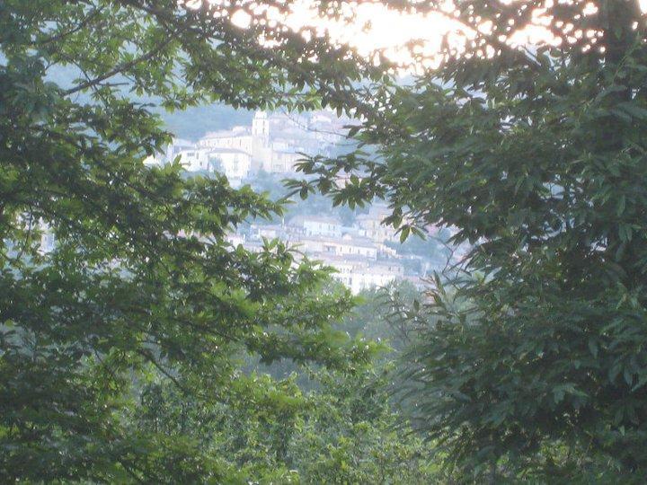 Myriam Country House B&B Mercogliano Luaran gambar